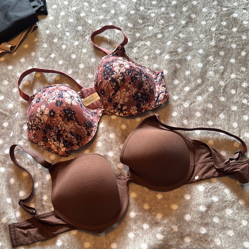 Lucky Brand Floral and Solid Brown Bra Set